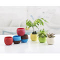 Mini Colorful Round Succulent Plant Flower Pot